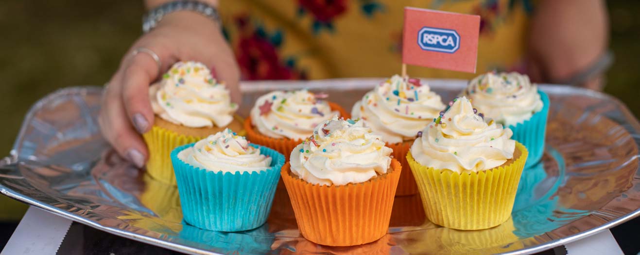 Homemade cupcakes prepared for an RSPCA cake bake sale.