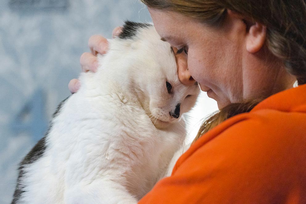 A woman rests her face against the head of a cat