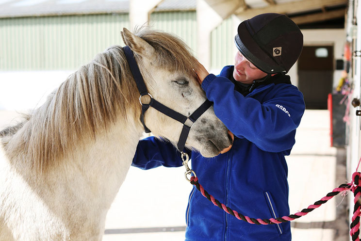 Rider in helmet pets horse in profile view