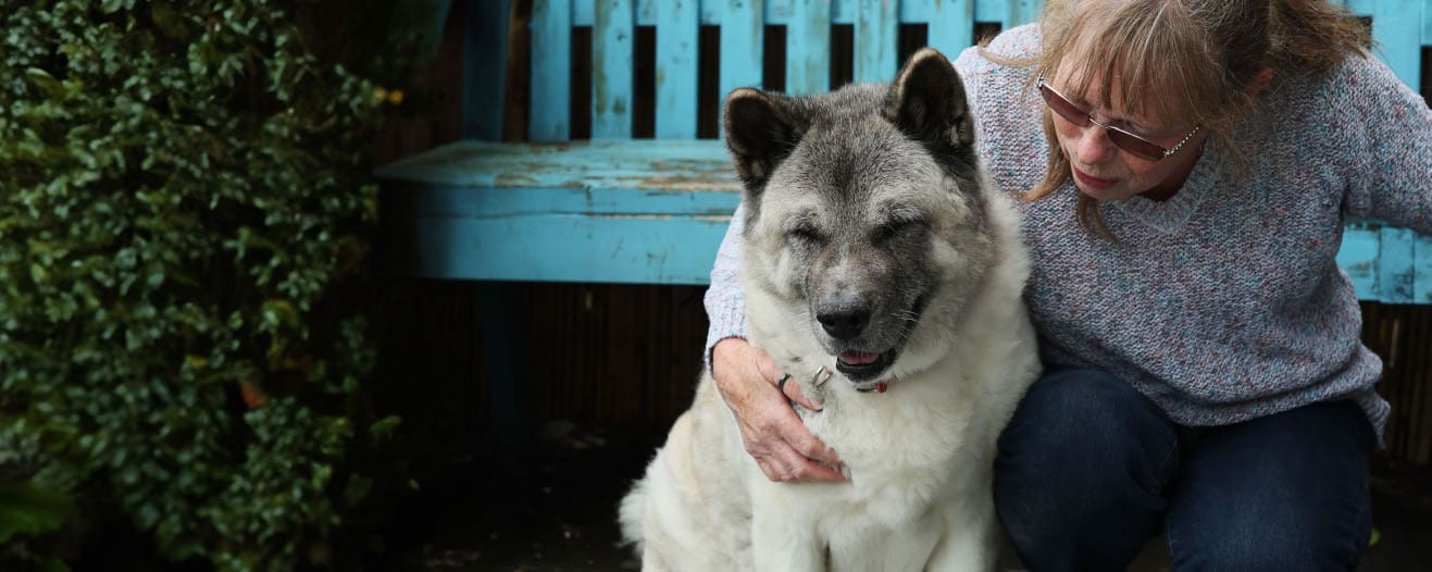 Lola, a large white fluffy dog being cuddled by her new owner.