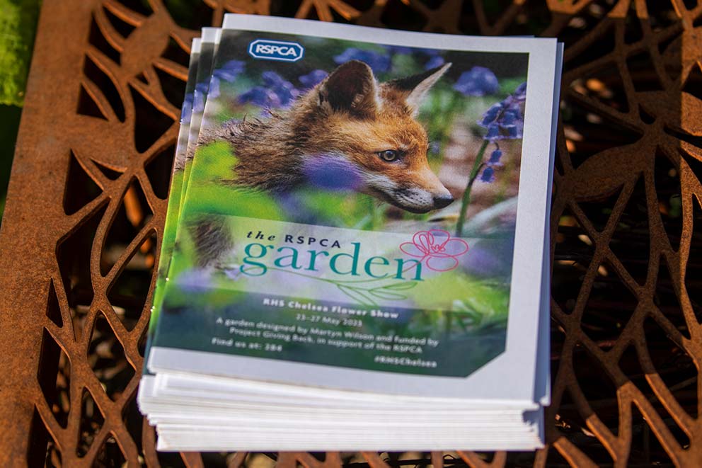 A stack of RSPCA branded brochures on a table outside.