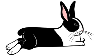 relaxing rabbit illustration